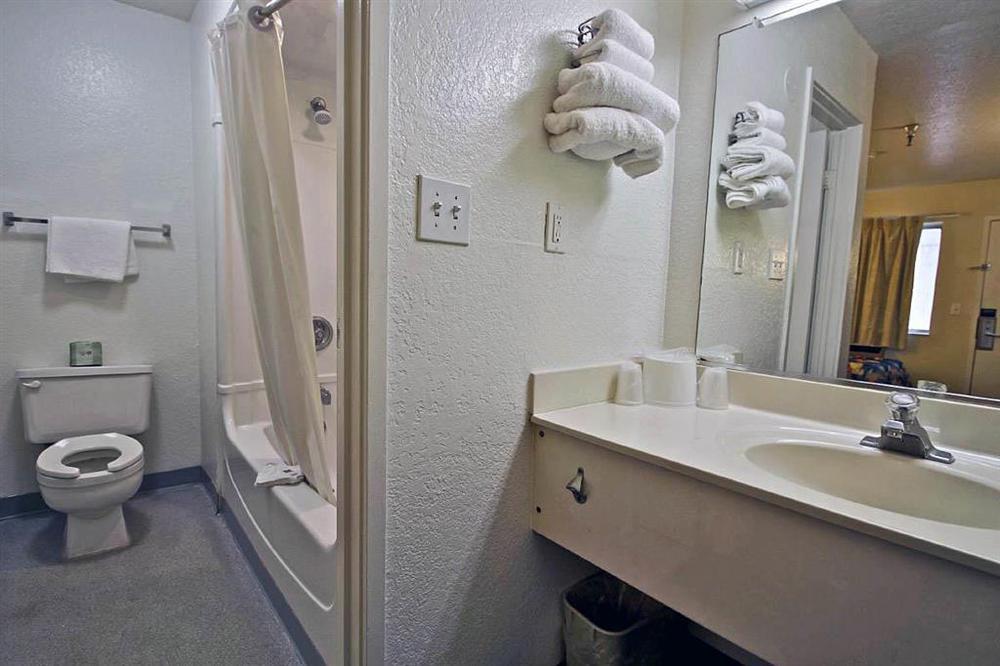 Motel 6 Tampa Downtown Chambre photo